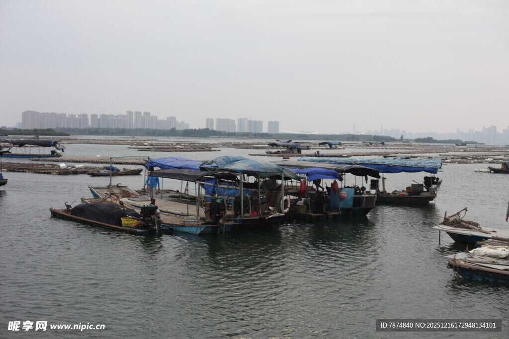 水上停泊的多彩船只