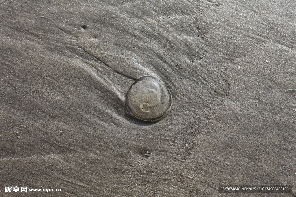 沙滩上的鹅卵石