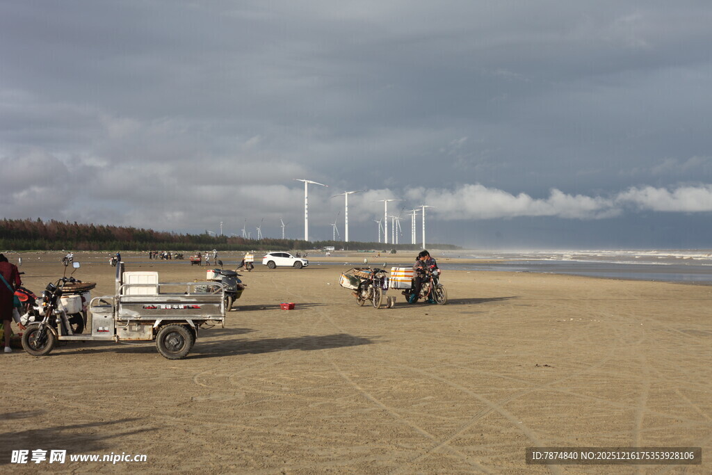 海滩上的休闲骑行场景