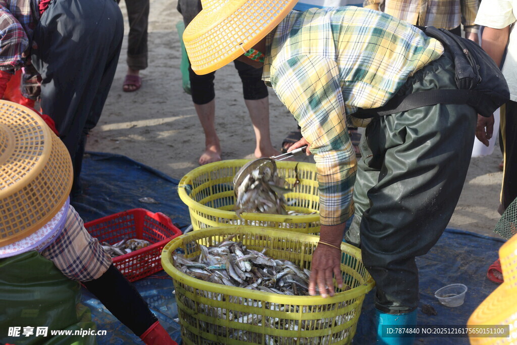 渔民集市售卖鲜活海鲜