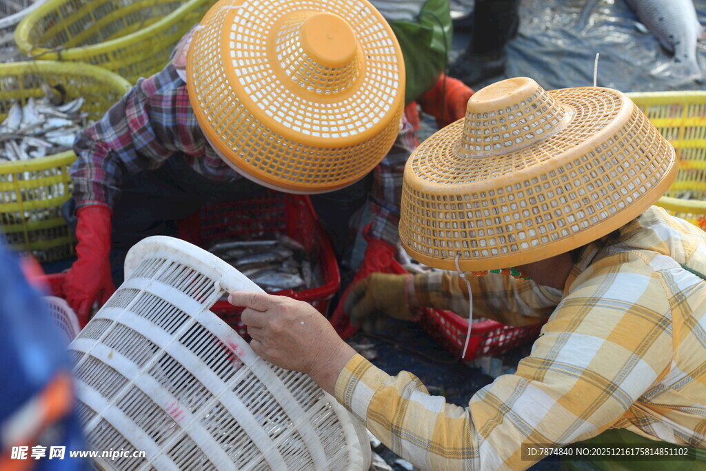 渔民海鲜捕获整理