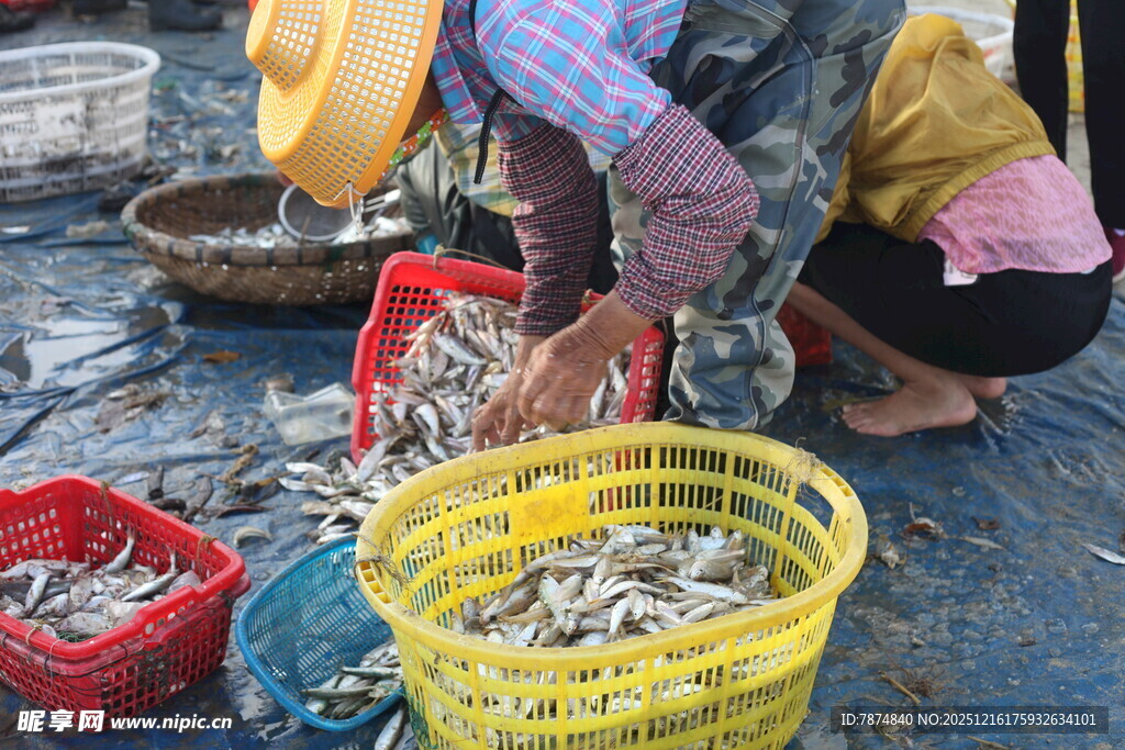 渔民集市售卖新鲜海鱼