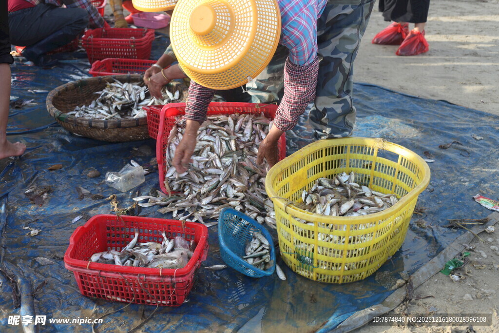 渔民集市售卖新鲜小鱼