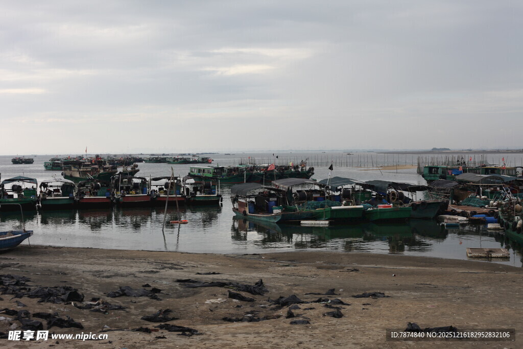 海边停泊的多彩渔船