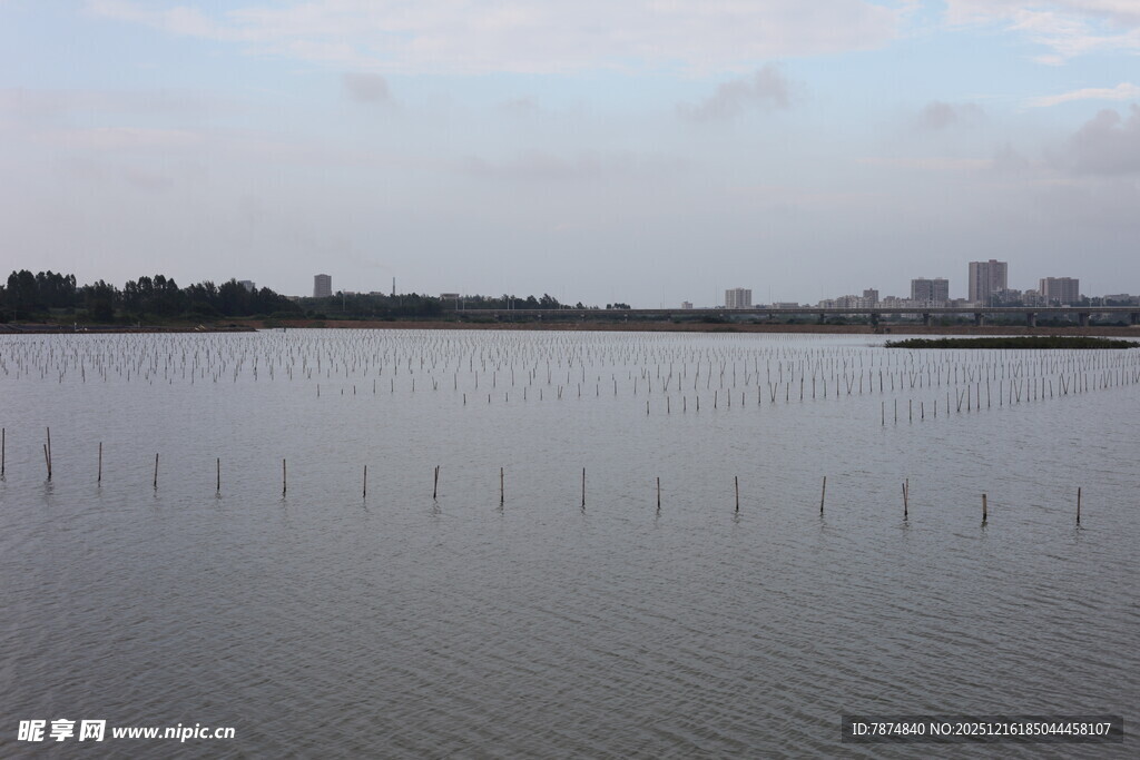 平静湖面与远处城市景观