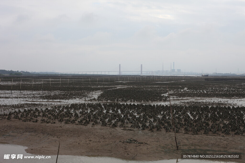 滩涂养殖场景