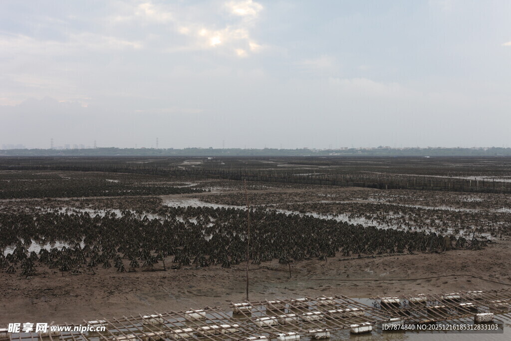 广袤荒凉的大地景观