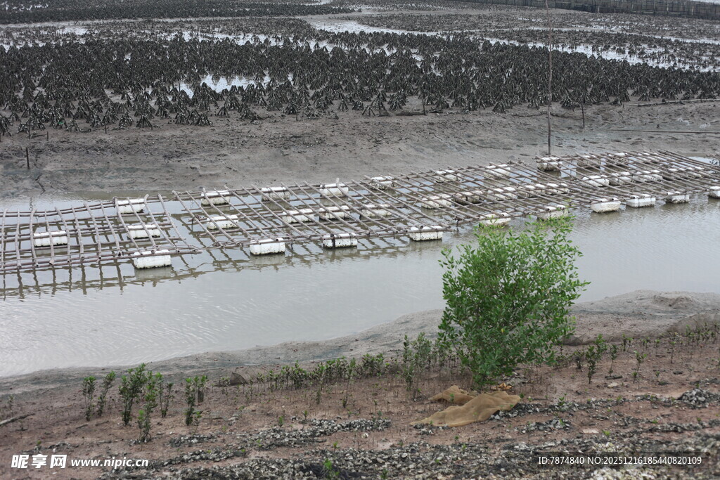 河畔孤树与停泊船只