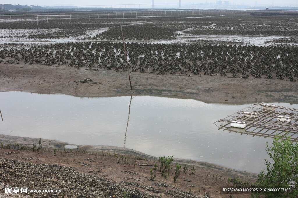 湿地景观 水域与植被相映
