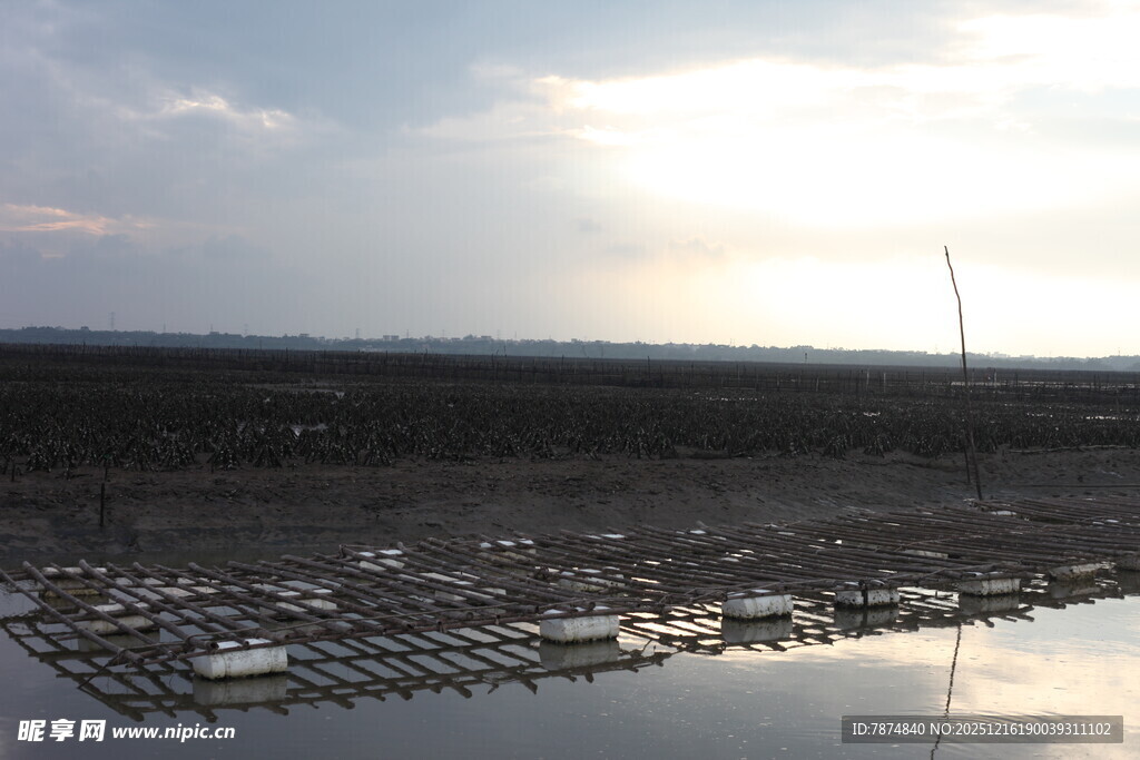 海上养殖场景 夕阳余晖