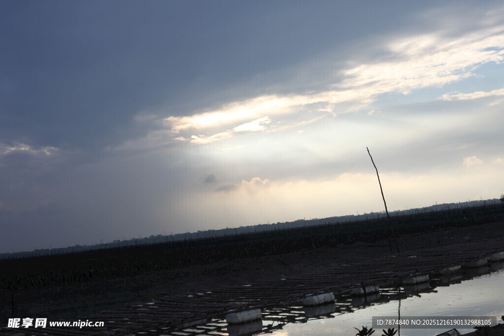 夕阳下的河畔风景