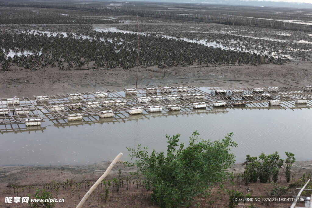 河畔停泊船只的宁静景象