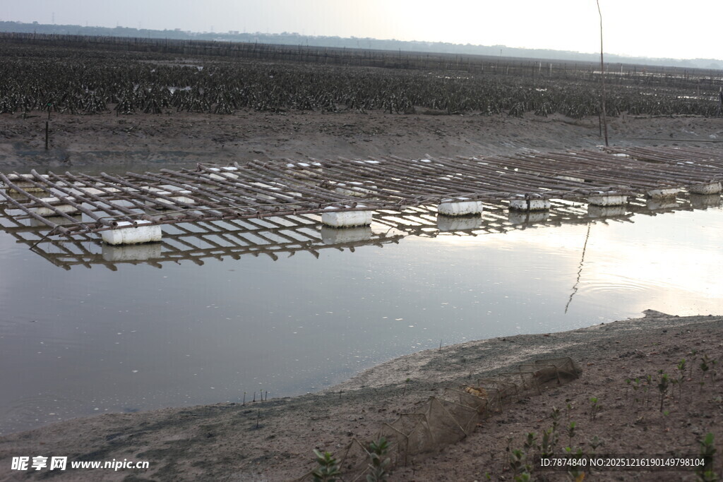 河畔停泊船只景象