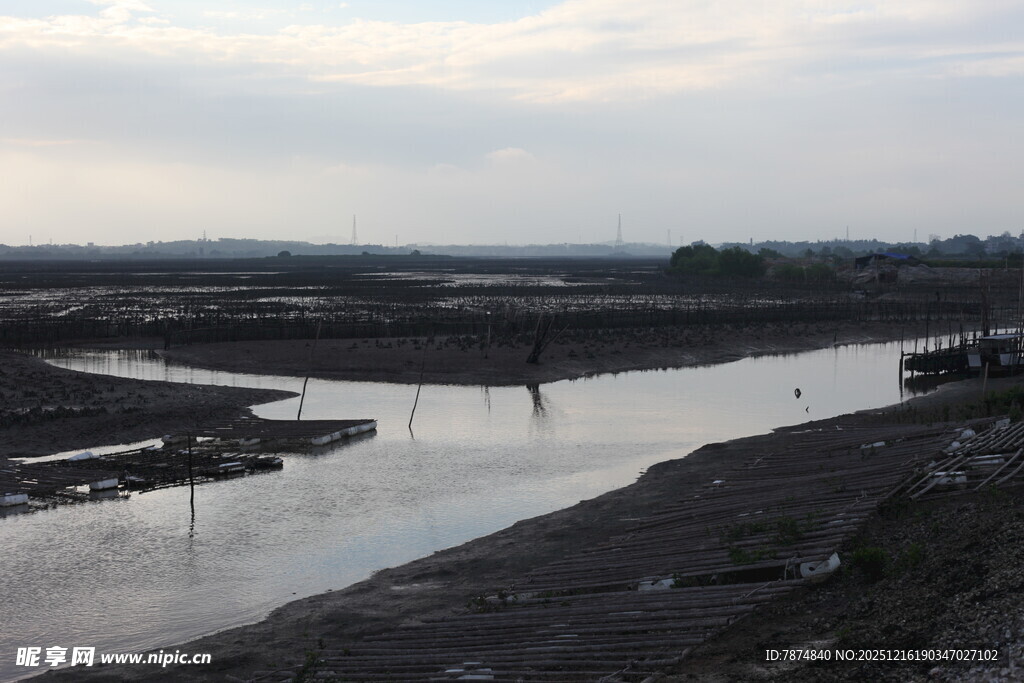 湿地景观 水域与泥滩交织