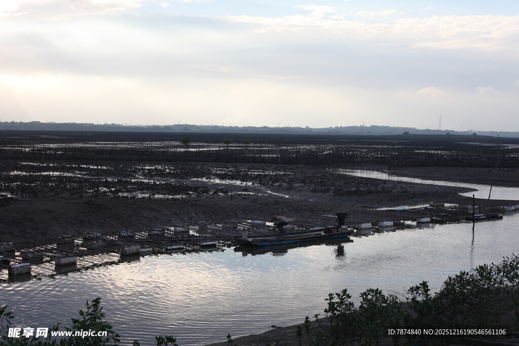 黄昏下的湿地水域景观