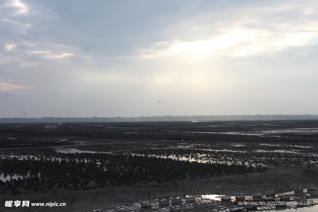 广袤原野上的天光云影