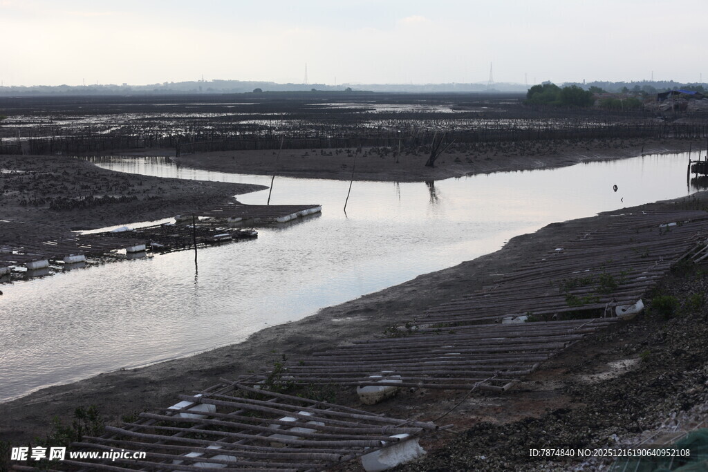 河岸景象 湿地与水域景观