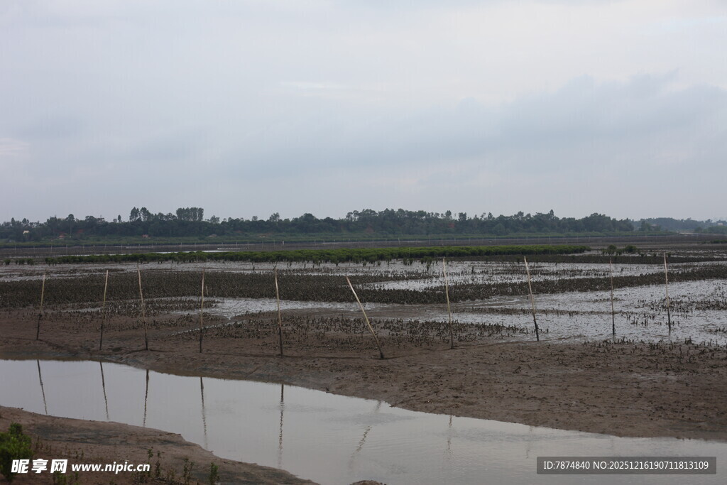 湿地景观 水域与围栏并存
