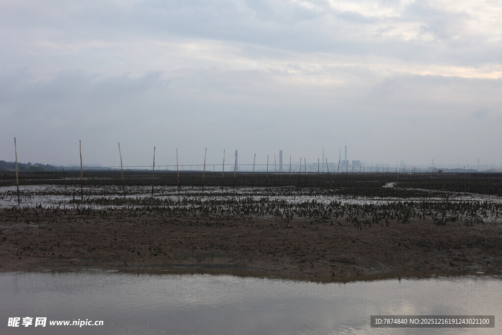 湿地风光与远处风车景观
