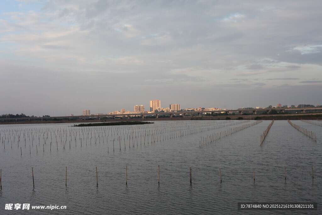 黄昏下的广袤水田风光