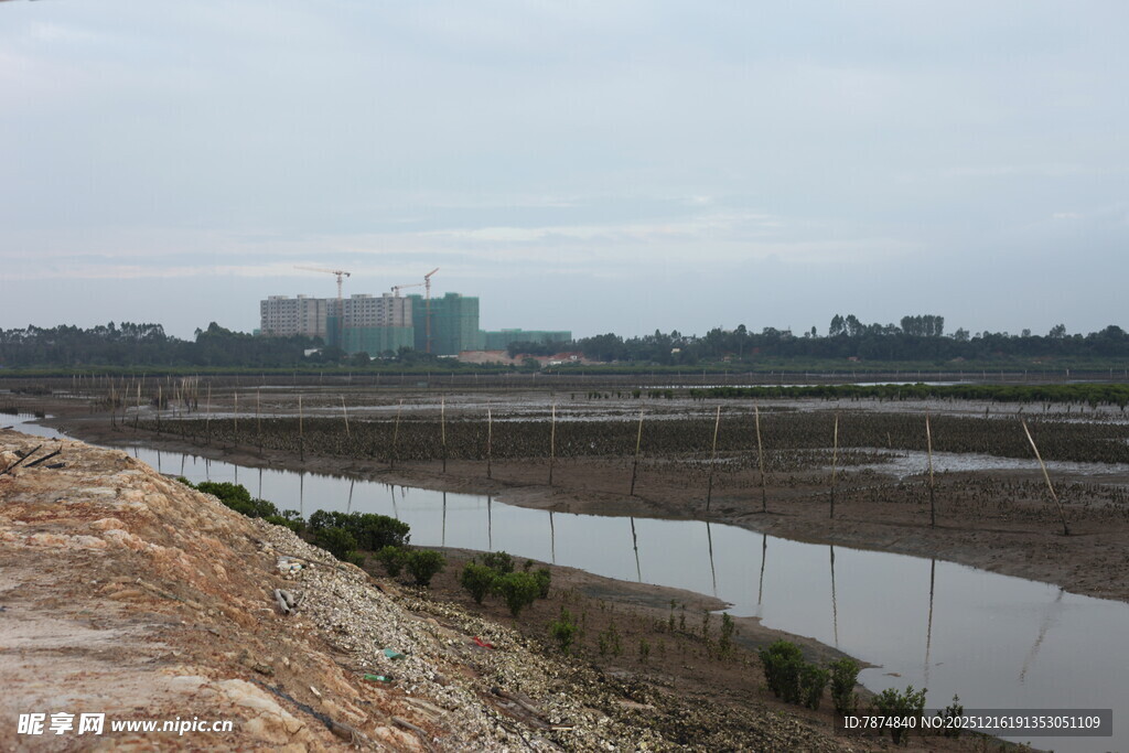 田野旁的水域与远处建筑