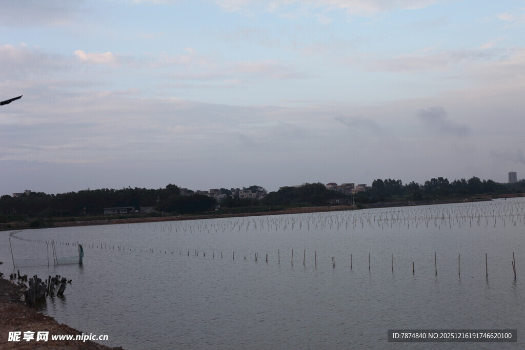 湖畔黄昏景静谧自然美