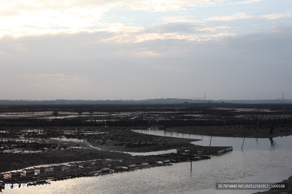 黄昏下的湿地河流景观