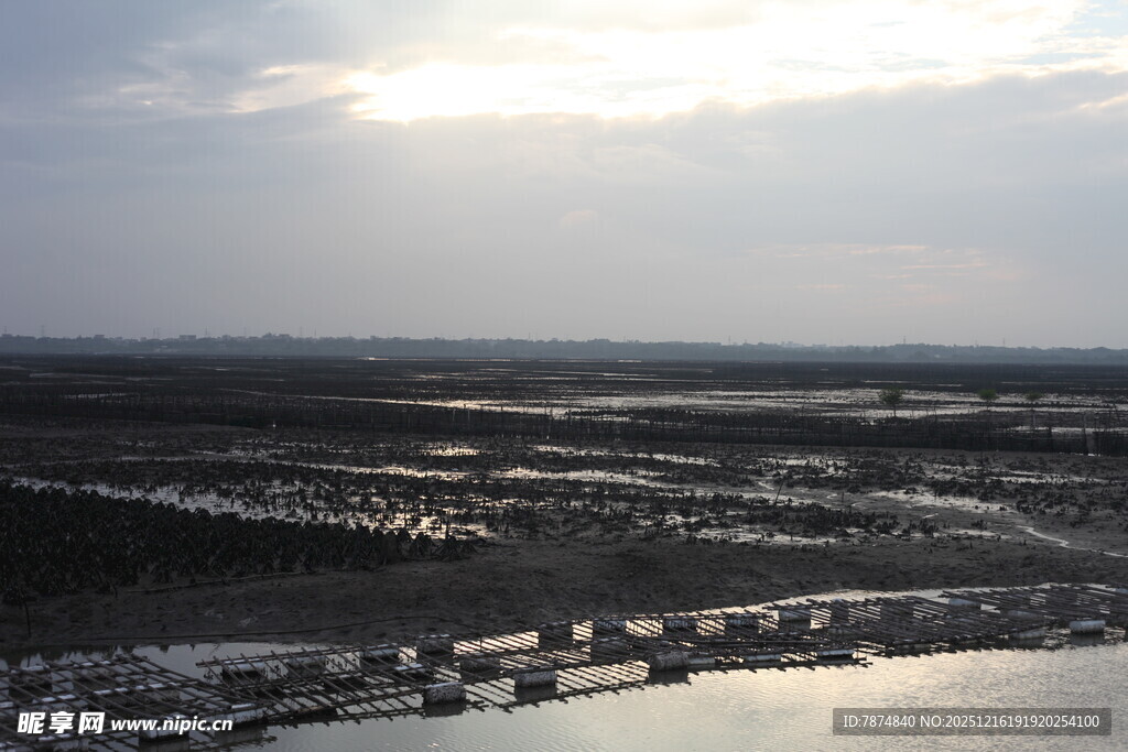 俯瞰城郊湿地景观
