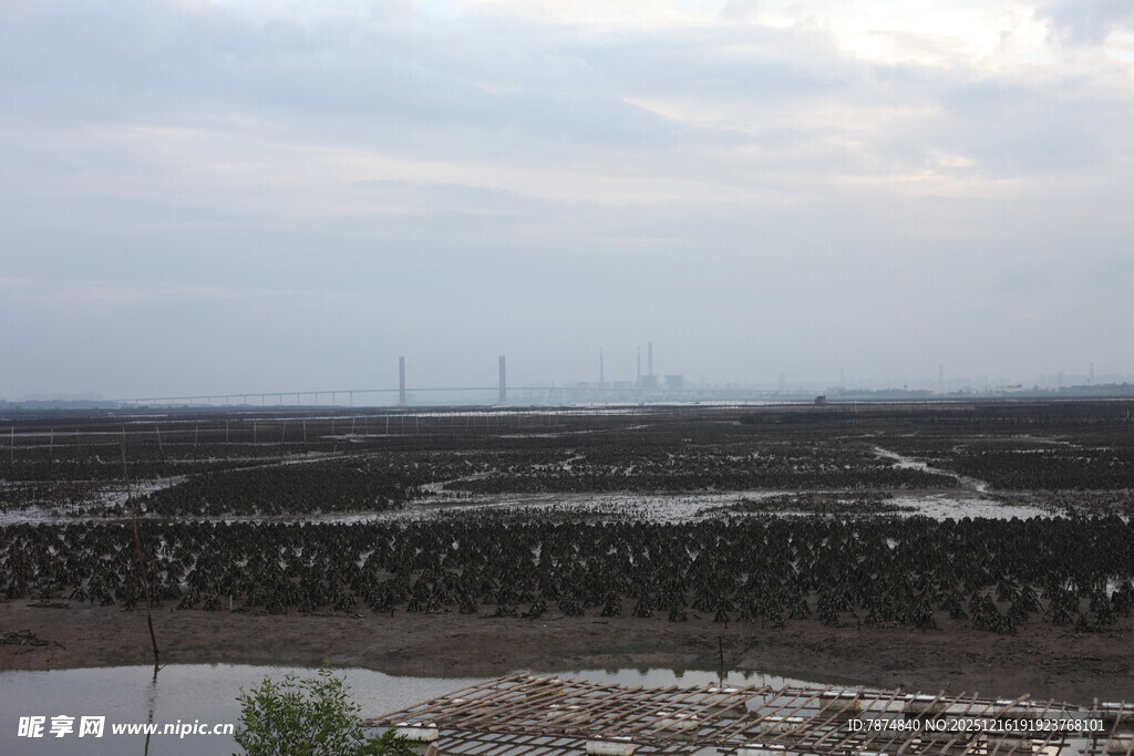 广阔田野与远处输电塔景观