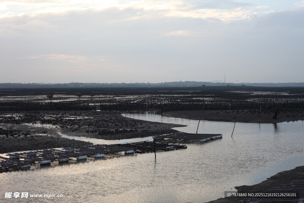 黄昏下的河畔湿地景观