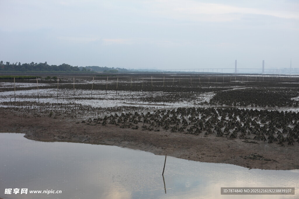 滩涂养殖场景