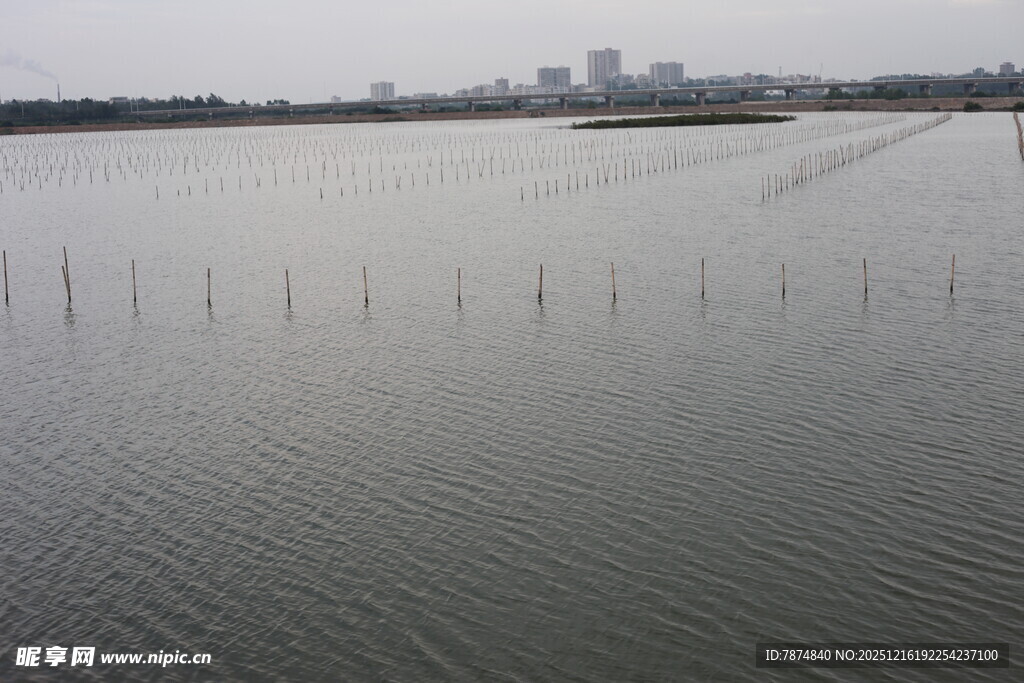 平静水域与远处城市景观