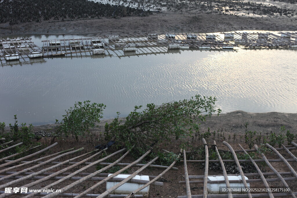 俯瞰水域旁的建筑与绿植