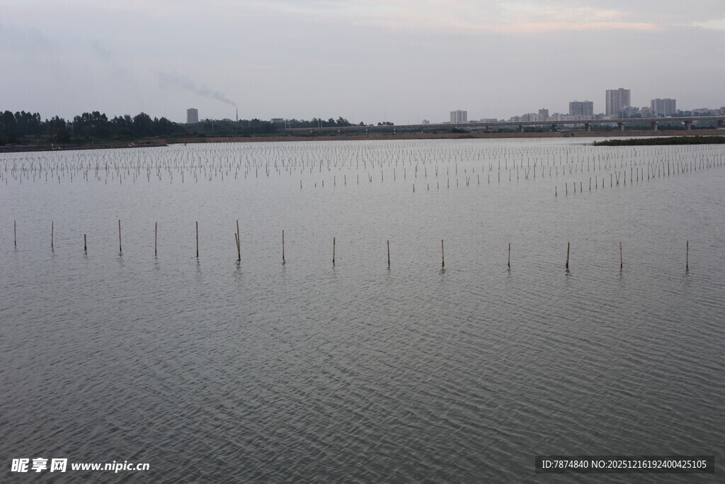 城市边的宽阔水域景观