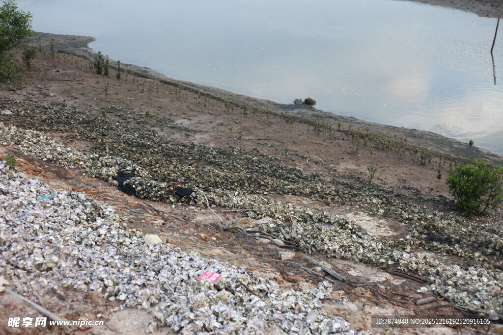 垃圾堆积的荒地场景