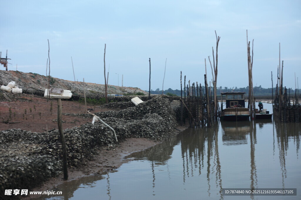 河岸湿地的木桩景观