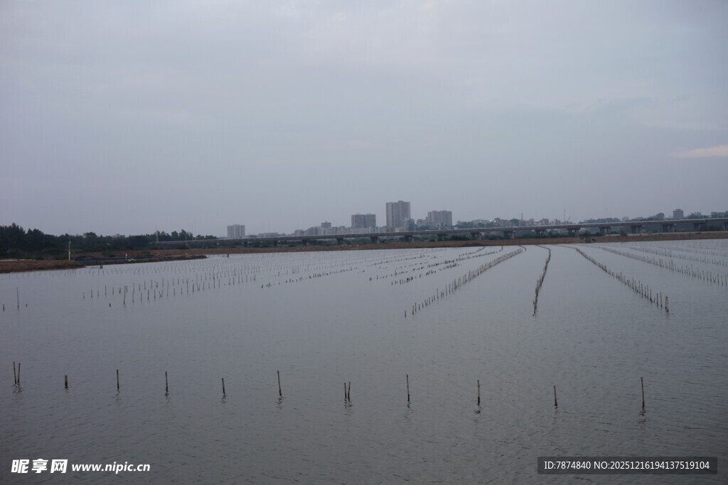 水域农田与远处城市景观