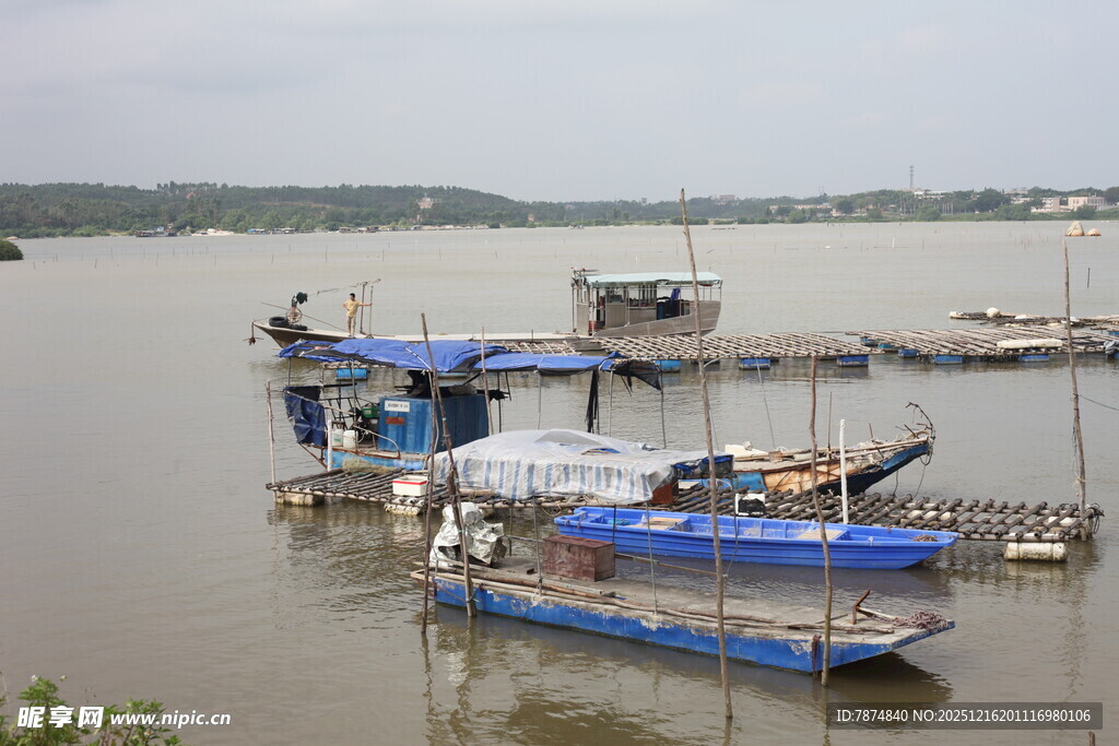 江边停泊的多彩渔船