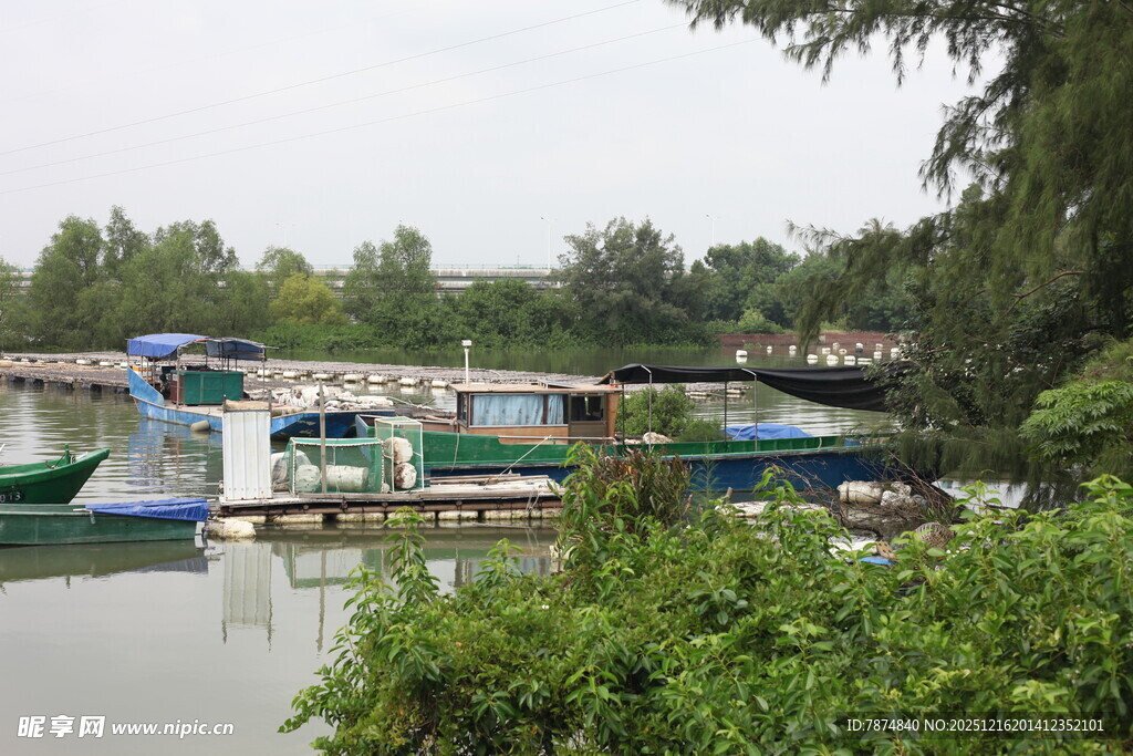 宁静河畔的停泊船只景观