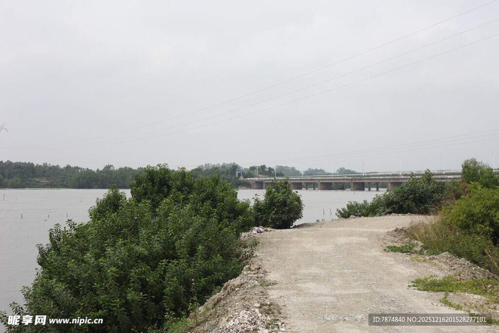 湖边小径与葱郁绿植