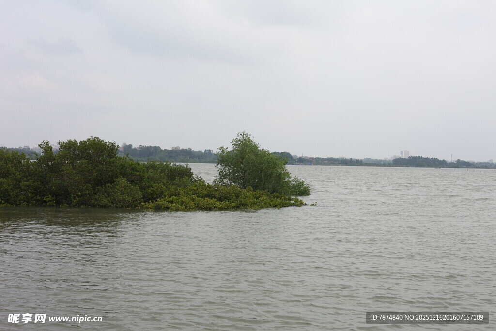 湖畔绿树小岛水域风光