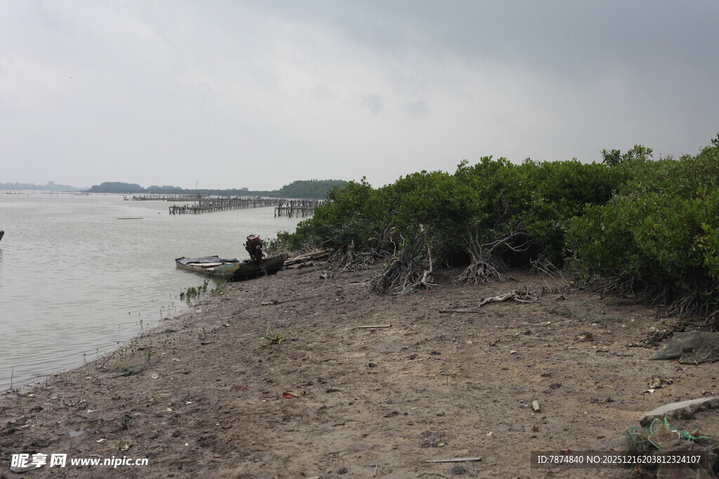 岸边小船与茂密绿植景观
