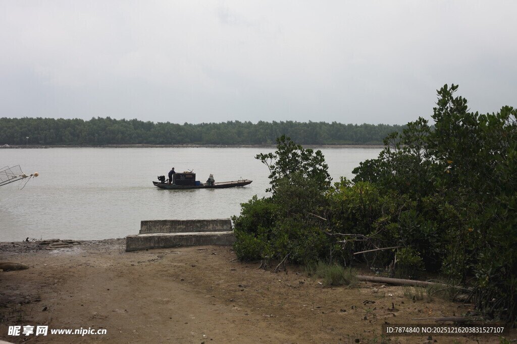 河边小船与岸边绿植景象