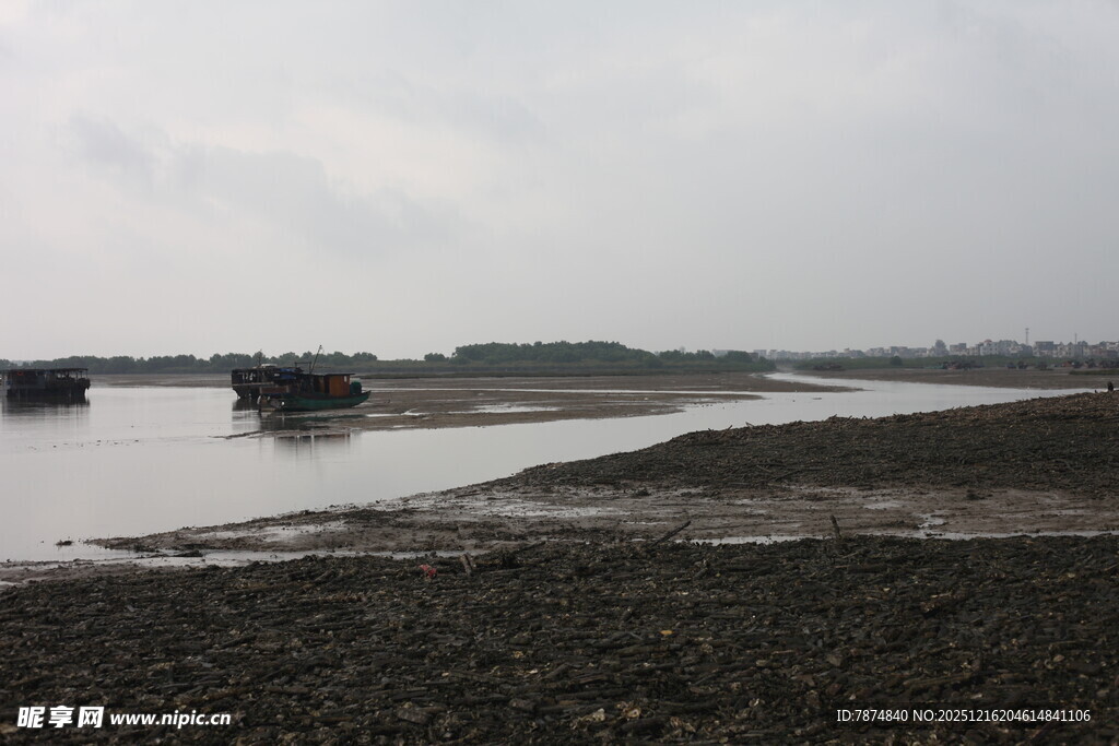 河岸风景水面与岸边景象