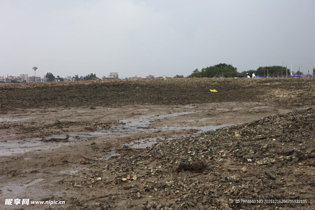 泥泞空旷的户外土地场景