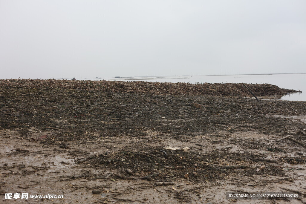 泥泞滩涂景象