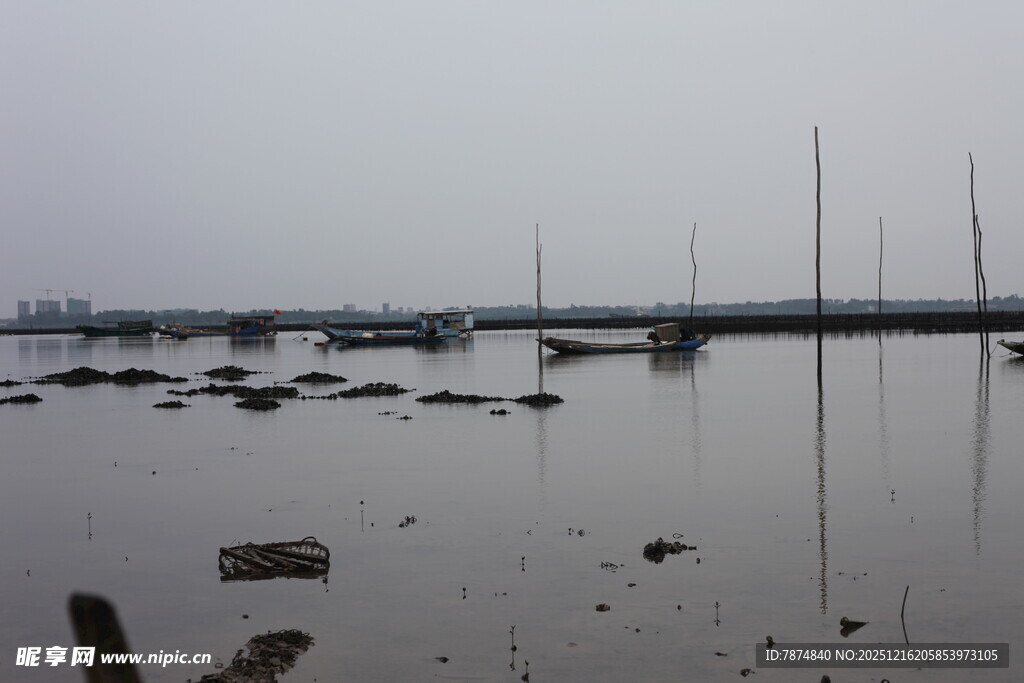 雾中静谧的海港景象