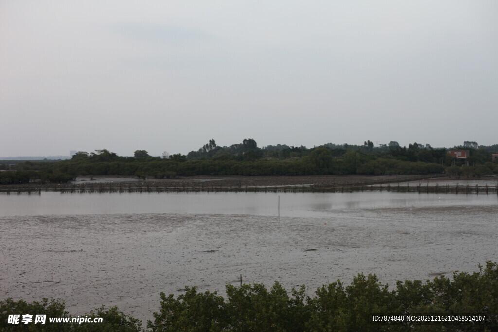 河畔风光绿植环绕水域