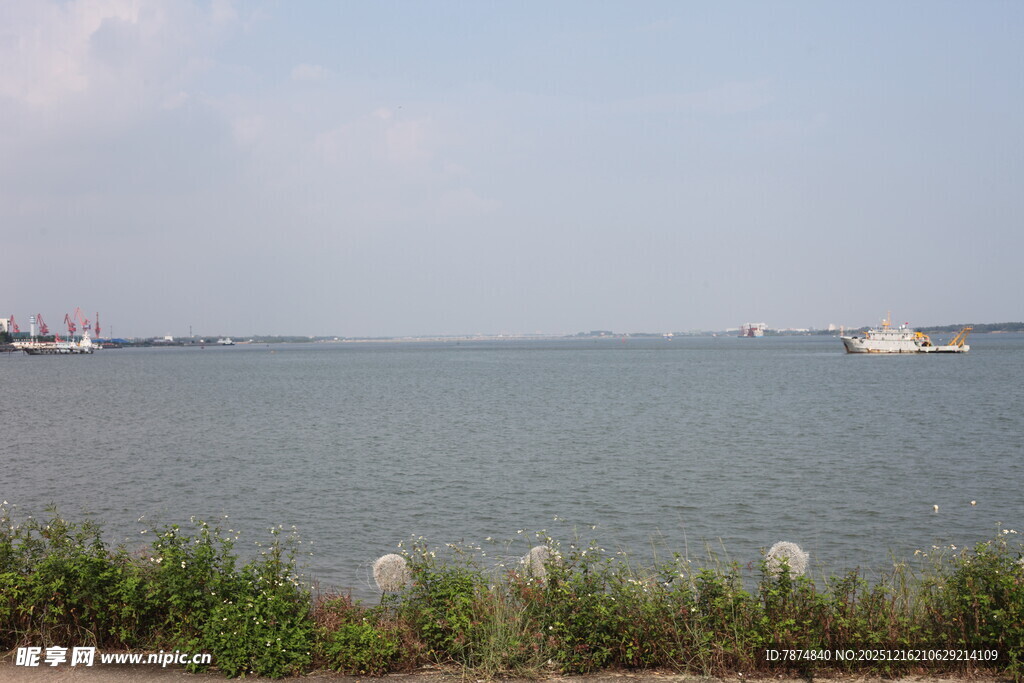 湖畔风光静谧开阔水域