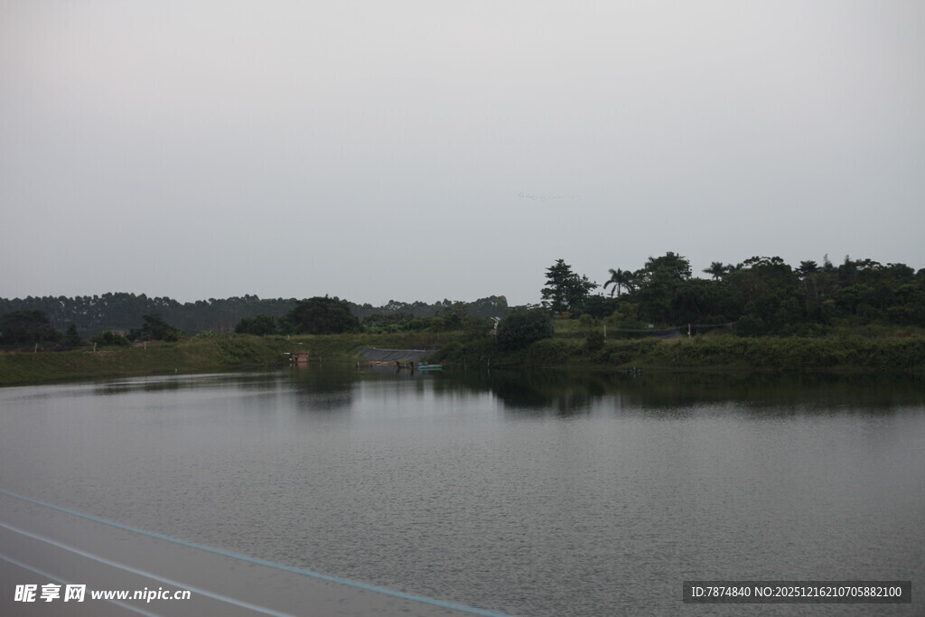 宁静湖面与岸边绿树景致